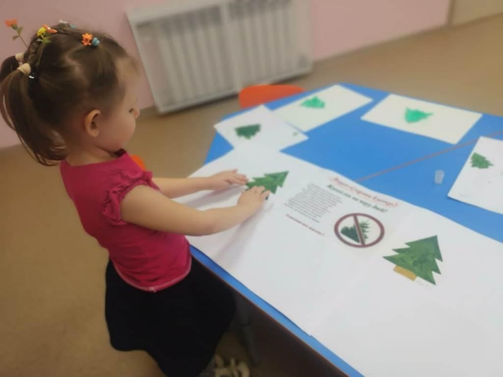 Вы сейчас просматриваете Проект «Берегите ёлочку»